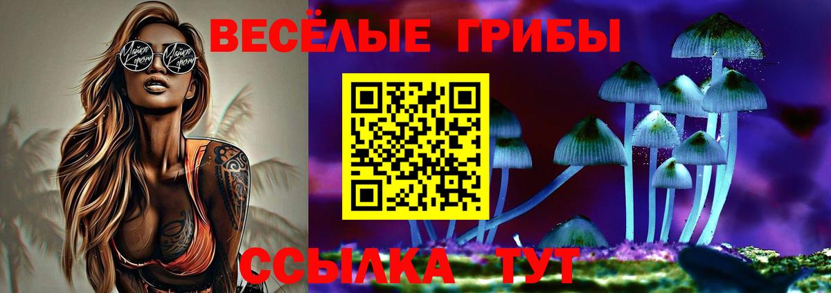 Псилоцибиновые грибы ЛСД Соль-Илецк