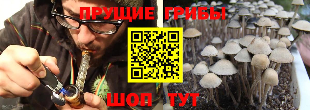 Псилоцибиновые грибы Magic Shrooms  Вход с VPN  Соль-Илецк 